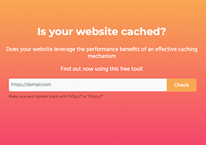 Cache Checker